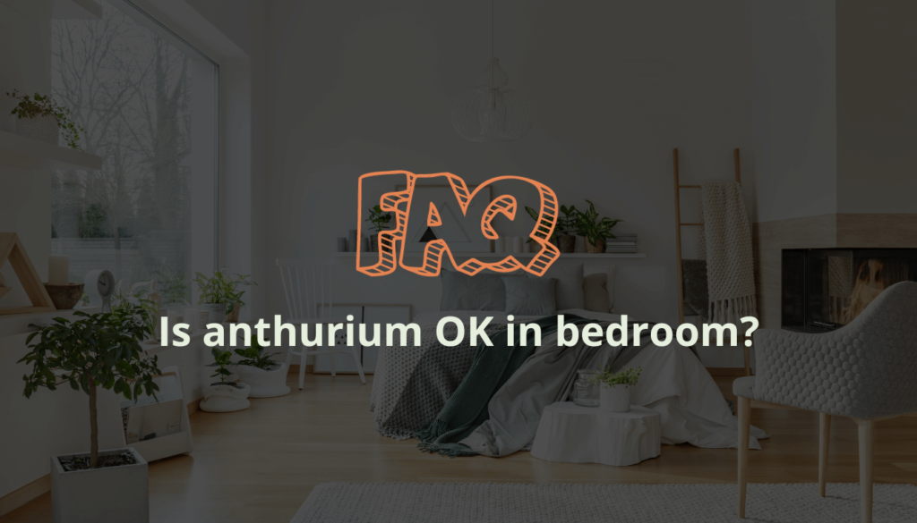 Is anthurium OK in bedroom