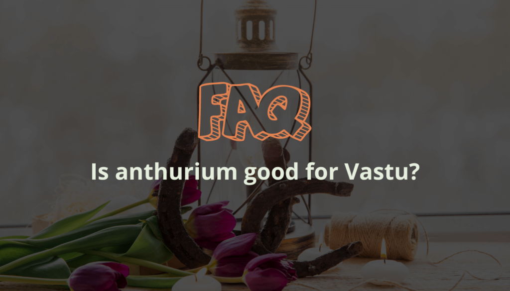 Is anthurium good for Vastu?